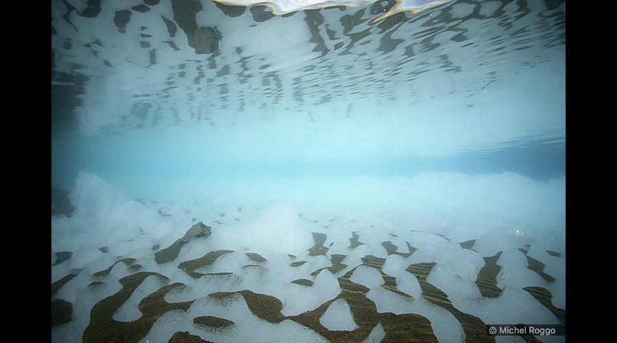 26|80 Gornergletscher - Glacier du Gorner   