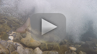 Thumbnail Image 1